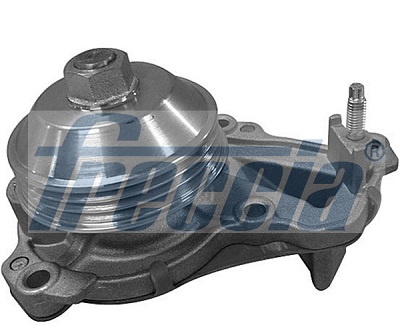 Water Pump, engine cooling - WP0600 FRECCIA - 3639881, 9803094380, 101274