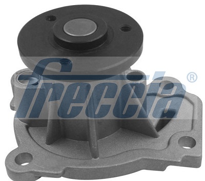 WP0610, Water Pump, engine cooling, FRECCIA, 210102248R, 35-00-025, 35025, CP7301, N161, P967, PA12870, PQ-025