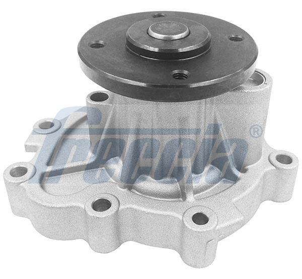 WP0656, Water Pump, engine cooling, FRECCIA, 1016057804, 1066021700, G108