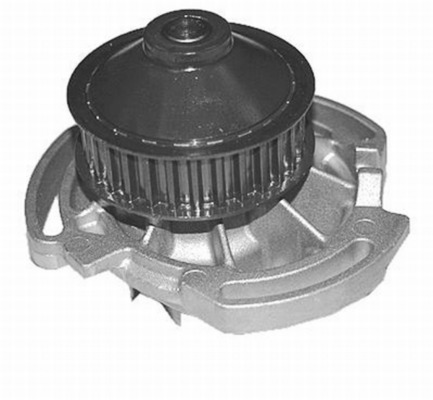 Water Pump, engine cooling - CP19000S MAHLE - 030121004A, 030121005L, 1612697680
