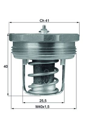 TX8983, Termostat, chladivo, Termostat, MAHLE, 0000060710617, 0000082231828, 60710617, 82231828, 3067.83