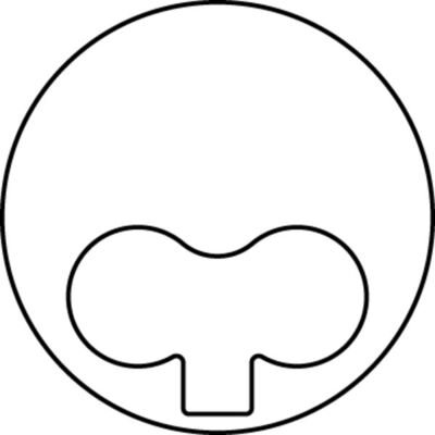 0318900, Píst včetně kroužků a čepu, Píst komp.2,5D, MAHLE, 95592648, BP1501400