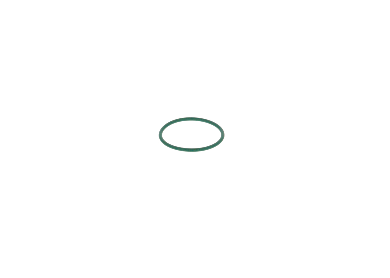 Rubber Ring - 2700210057 BOSCH - 99970104840, A0219979745, PAF008476