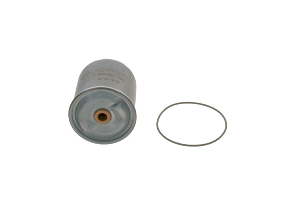 F026407060, Ölfilter, BOSCH, 1017010A29DM, 236GB245M, 5001021174, 5001858001, 6501028180, 101701129DM, 5010412645, 5010437143, 6899419901, 5010437356, 2590300, 57117, 636OZ, BC7173, CS41005, DOC2213, EHC8501, LSF5202, OR7451, OZ3D, P550287, P9302, SP1284, Z13D94, ZR904X, LSF5203