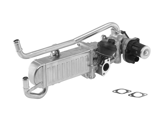 710862D, AGR-modul, Ventil AGR/EGR 1,6TDI, BorgWarner, 03L131512AN, 138466, 03L131512AS, 2508466, 03L131512BA, 03L131512BH, 03L131512BK, 03L131512CE, 03L131512CG, 03L131512DP, 03L131512M, 03L131527V, 03L131527X, 001-10-23074, 01-25111-SX, 040068N, 07.16.046, 0892459, 11317711601, 121-01-088, 14SKV095, 150-00-0909, 18022, 304001, 30949839, 330690344, 342366, 45-8495, 48214, 49839