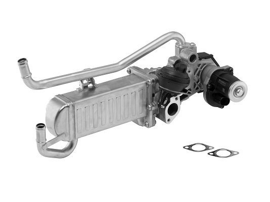 710863D, AGR-modul, Ventil AGR/EGR 1,2TDI, BorgWarner, 03P131512B, 138457, 03P131512C, 2508457, 03P131512D, 03P131512E, 03P131512EV, 03P131512EX, 01-25221-SX, 040065N, 0892458, 11317711701, 121-01-089, 14SKV096, 150-00-0910, 1500910, 18023, 304002, 30949844, 330690334, 45-8496, 48215, 49844, 555422, 56671, 56721410, 6NU358167-011, 703329, 7.09720.02.0, 717730109