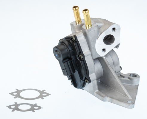 710937D, AGR-Ventil, Ventil AGR/EGR, BorgWarner, 06F131503A, 06F131503B, 016122, 0892433, 100276, 14349, 48692, 555203, 6NU010171-721, 7.10334.09.0, 710937D/1, 717730052, 83.016122, 881329047, 95683, 98348, EG10424, V10-63-0053, VEG1052, 555203A, 83.819, 88113, EG10424-12B1, EGR176, R2810039052A1, V10-63-0053-1, 83.819A2, 88113E, EG10424-15B1, 83.819AS
