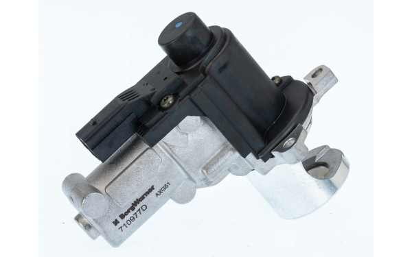 710977D, AGR-Ventil, Ventil AGR/EGR, BorgWarner, 059131502B, 059131502G, 0892181, 14476, 173588, 48347, 508-00148, 555272, 6NU014864-631, 7.02132.07.0, 703276, 710977D/1, 717730124, 73-0124B, 83.645, 88005, 881329015, 98217, EG10473, LEV0265, R2810053739, V10-63-0059, 555272A, 702132070, 83.645AS, 88214, EG10473-12B1, EGR335, VEG1125, 555411