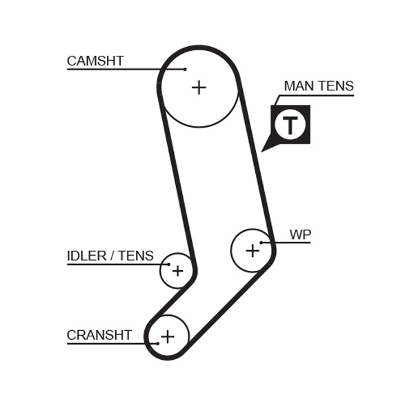 5323XS, Ozubený řemen, řemen rozvod.122 zubů, GATES, 046109119, 046109119E, 074109119A, 074109119R, 074109119B, 272462, 074109119E, 9180593, 074109119L, 9464100, 0511221034, 05KD043, 109845, 11.12042, 122AH25, 122HL254, 122RHX254, 122TM254, 122ZBS25, 14370, 1766029, 1987948820, 29-0048, 30020018, 340018181169, 4212V, 457LAHN100, 48-39747, 536002010, 55122