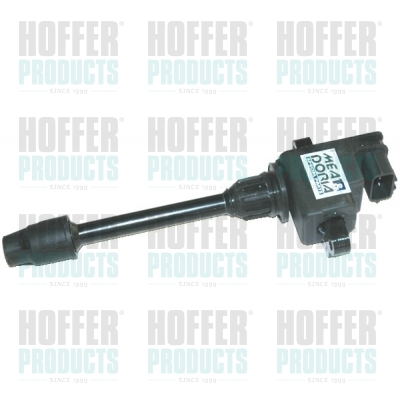 Ignition Coil - HOF8010407 HOFFER - 2244831U00, HEXEXM1301A, 2244831U01