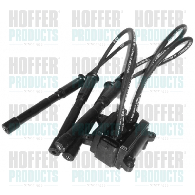 Ignition Coil - HOF8010420 HOFFER - 224404659R, 2244800Q0A, 77040001