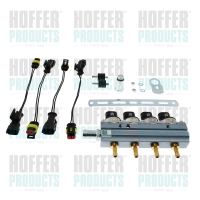 Vstřikovací ventil - HOFH13064 HOFFER - 77366187, 13050, 241360047