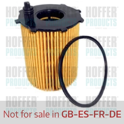 Olejový filtr - HOF14049 HOFFER - 1103S7, 11427805978, 1651073J01