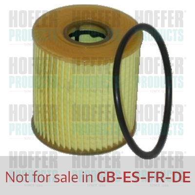 Olejový filtr - HOF14084 HOFFER - 1109X4, 11427557012, 11427622446