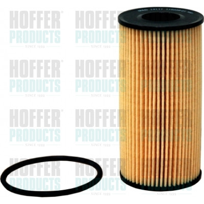 Olejový filtr - HOF14117 HOFFER - 04431215, 1520900Q0A, 8200362442