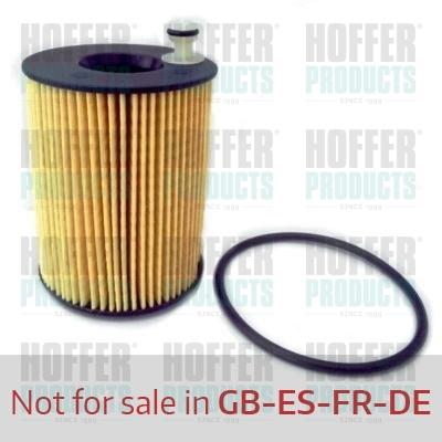 Olejový filtr - HOF14142 HOFFER - 55224598, 10-ECO127, 14142
