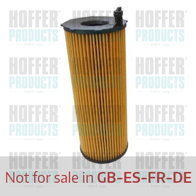 Olejový filtr - HOF14165 HOFFER - 057115561M, 57115561M, 955.107.222.00
