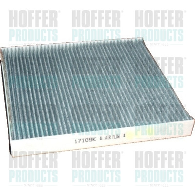 Filtr, vzduch v interiéru - HOF17109K HOFFER - 9118699, 1718042, 90559549