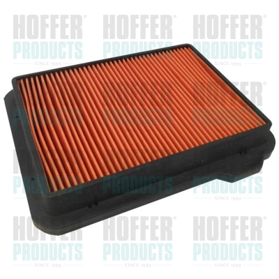 Air Filter - HOF18125 HOFFER - 4294303, 25062044, 894217100