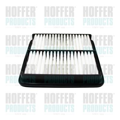 HOF18698, Air Filter, HOFFER, PEHH-13-3A0, 18698, AP115/1