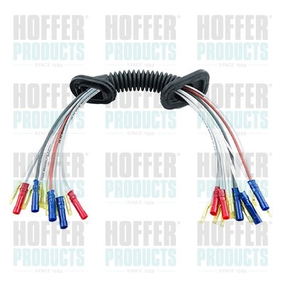 HOF25307, Repair Kit, cable set, HOFFER, 1510610, 2320070, 240660271, 25307, 405307, 51277131, V10-83-0074, 8035307