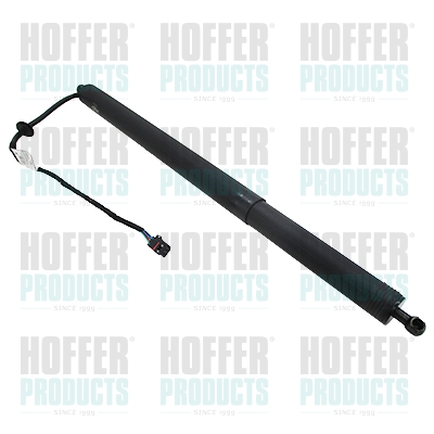 HOFH301023, Gas Spring, tray (boot/cargo bay), HOFFER, 81770-D3100, 301023, 462420023, 760320A2, H301023