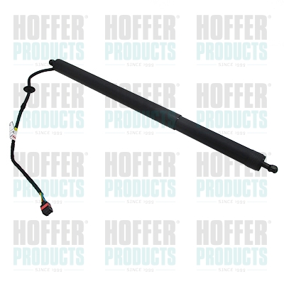 HOFH301024, Gas Spring, tray (boot/cargo bay), HOFFER, 81780-D3100, 301024, 462420024, 760420A2, H301024