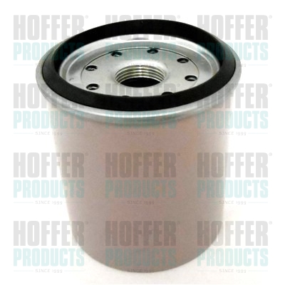 Palivový filtr - HOF4120 HOFFER - 4723905, 857633, 1457434448