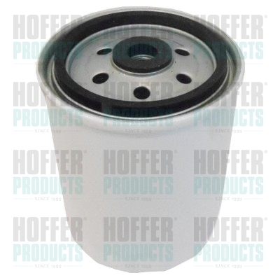 Fuel Filter - HOF4129 HOFFER - 0691913, 5017831, 6610923001