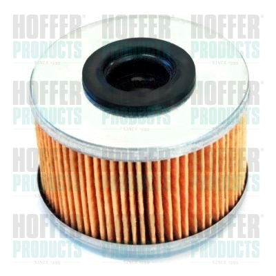 Fuel Filter - HOF4230 HOFFER - 1541284CT0LCP, 190656, 4402894