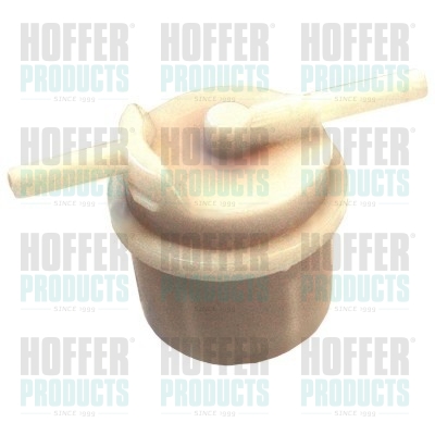 Fuel Filter - HOF4504 HOFFER - 2303031031, 2303087602, 25055341