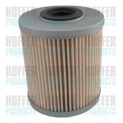 Fuel Filter - HOF4811 HOFFER - 1640500Q0C, 4416191, 7701475229