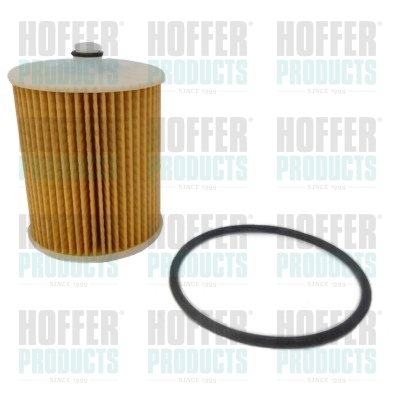 Fuel Filter - HOF5006 HOFFER - 233090N010, 233900N100, 30ECO036