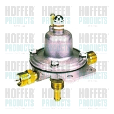 HOF5452, Fuel Pressure Regulator, HOFFER, 240630016, 5452, 9205452