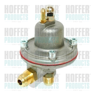 Fuel Pressure Regulator - HOF5453 HOFFER - 240630017, 5453, 9205453