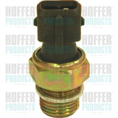 Olejový tlakový spínač - HOF7532025 HOFFER - 113161, 1658266G00, 252406F900