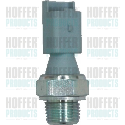 Oil Pressure Switch - HOF7532031 HOFFER - 1131C5, 12617568481, 1658286CT0