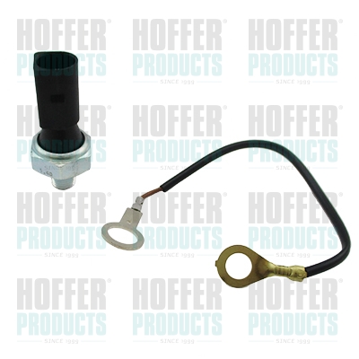 Oil Pressure Switch - HOF7532100 HOFFER - 06D919031, 51155, 0824331065