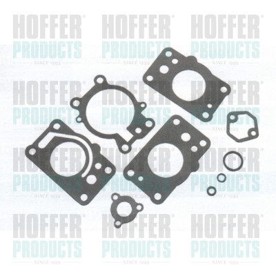 HOF750-10015, Repair Kit, injection nozzle, HOFFER, 18043, 240650143, 750-10015, 75010015, 7501015