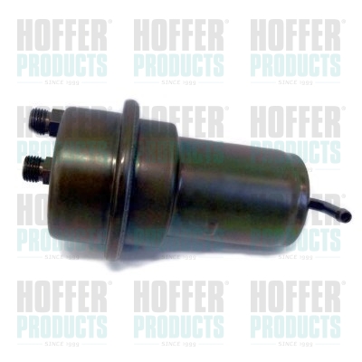 Pressure Accumulator, fuel pressure - HOF7525085 HOFFER - 113978, 7211491012, A0004760121