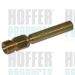 Injector - HOFH75111047 HOFFER - 0000785623, 7700267040, A0000785623
