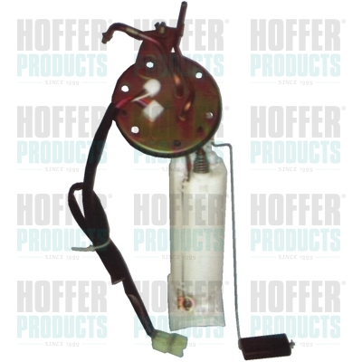 Fuel Feed Unit - HOF7506571 HOFFER - WFX100631, 09751089901, 0986580179