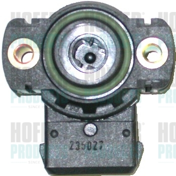 Sensor, throttle position - HOF7513086 HOFFER - 044907385A, 1909, 10720928