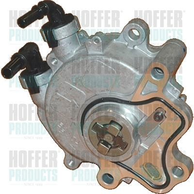 Vacuum Pump, braking system - HOF8091004 HOFFER - 456571, JDE8154, LR019761