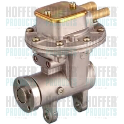 Vacuum Pump, braking system - HOF8091010 HOFFER - 1103470, 32567867, 3454033