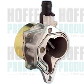 Vacuum Pump, braking system - HOF8091017 HOFFER - 1102984CT2000, 7700100624, 9110966