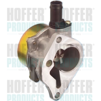 Vacuum Pump, braking system - HOF8091051 HOFFER - 1465000Q2D, 146502217R, 1465000Q2C