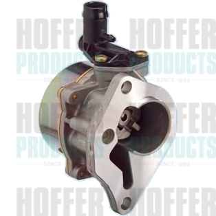 Vacuum Pump, braking system - HOF8091068 HOFFER - 1465000QAJ, 31216387, 8200072985