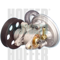 Vacuum Pump, braking system - HOF8091081 HOFFER - 456532, 371130079, 559059