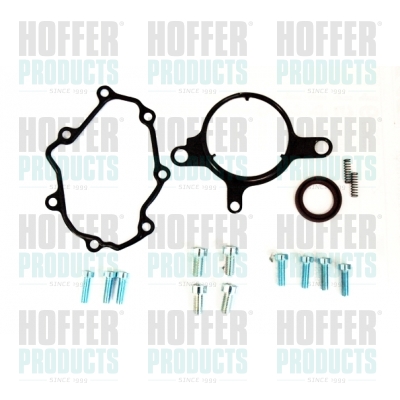 Repair Set, vacuum pump (braking system) - HOF91113 HOFFER - 07Z127025E*, 07Z127025F*, 371330004